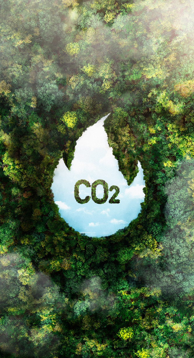 Château Frontenac en hiver